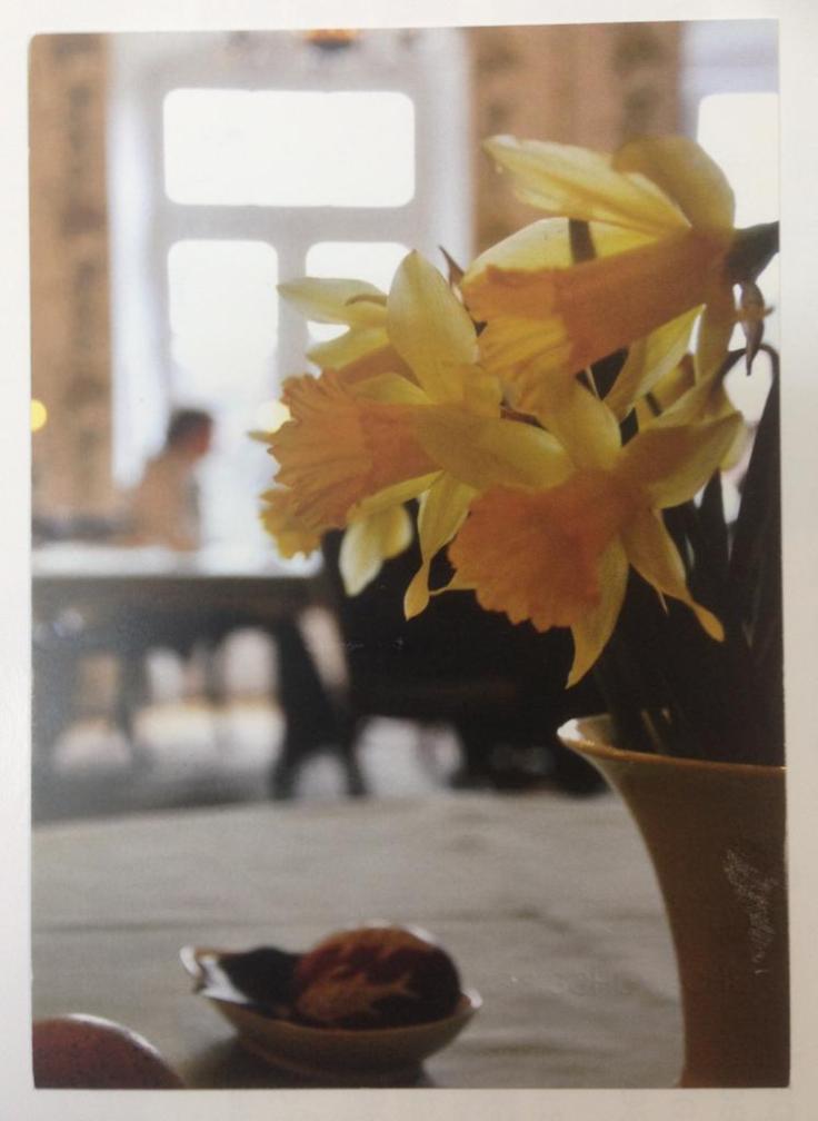 WhatsApp Image 2019-02-01 at 16.05.38