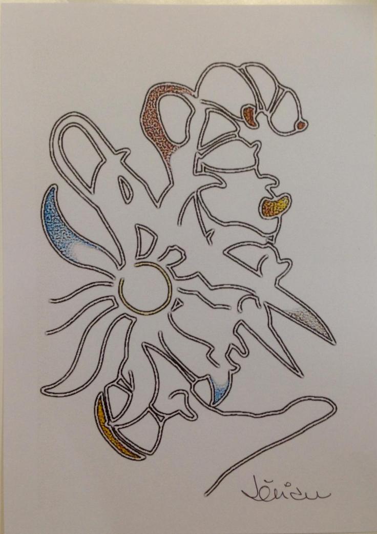 WhatsApp Image 2019-02-12 at 16.29.43(1)