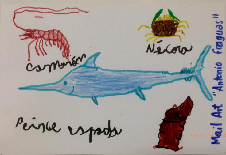 WhatsApp Image 2019-02-18 at 16.27.32